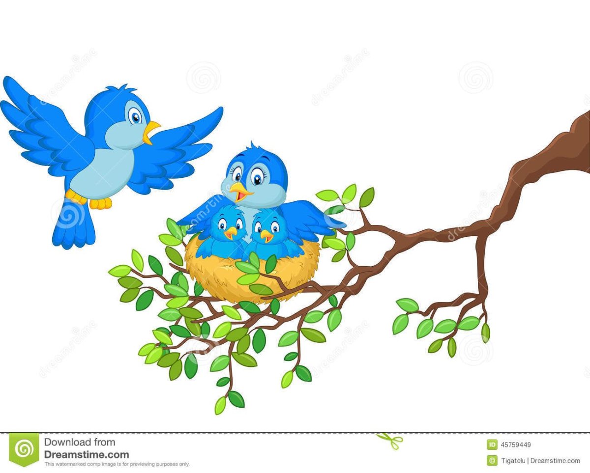 Птенцы в гнезде для детей