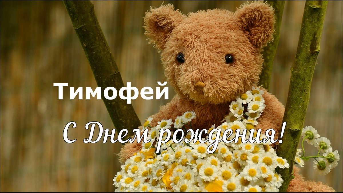 С днем рождения мальчику Тимофею
