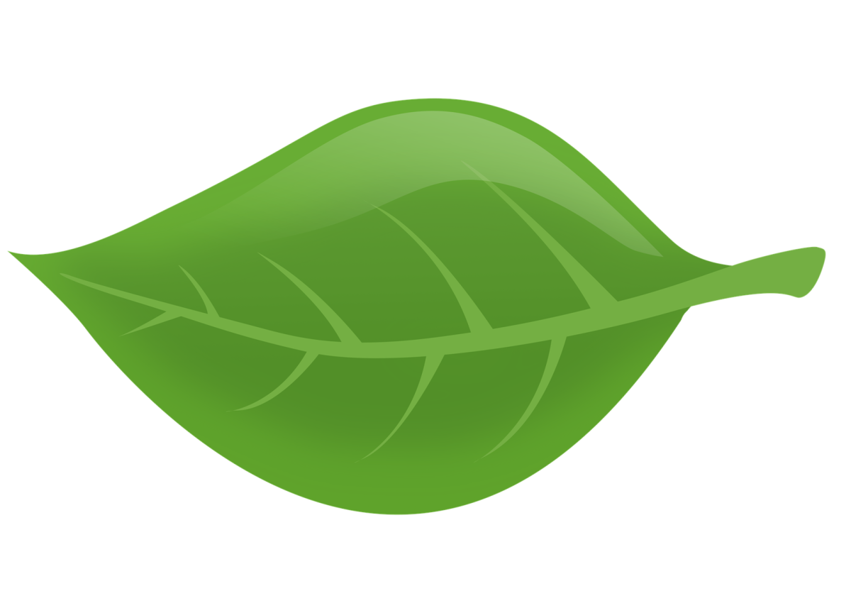 Зеленый листок для пломбирования