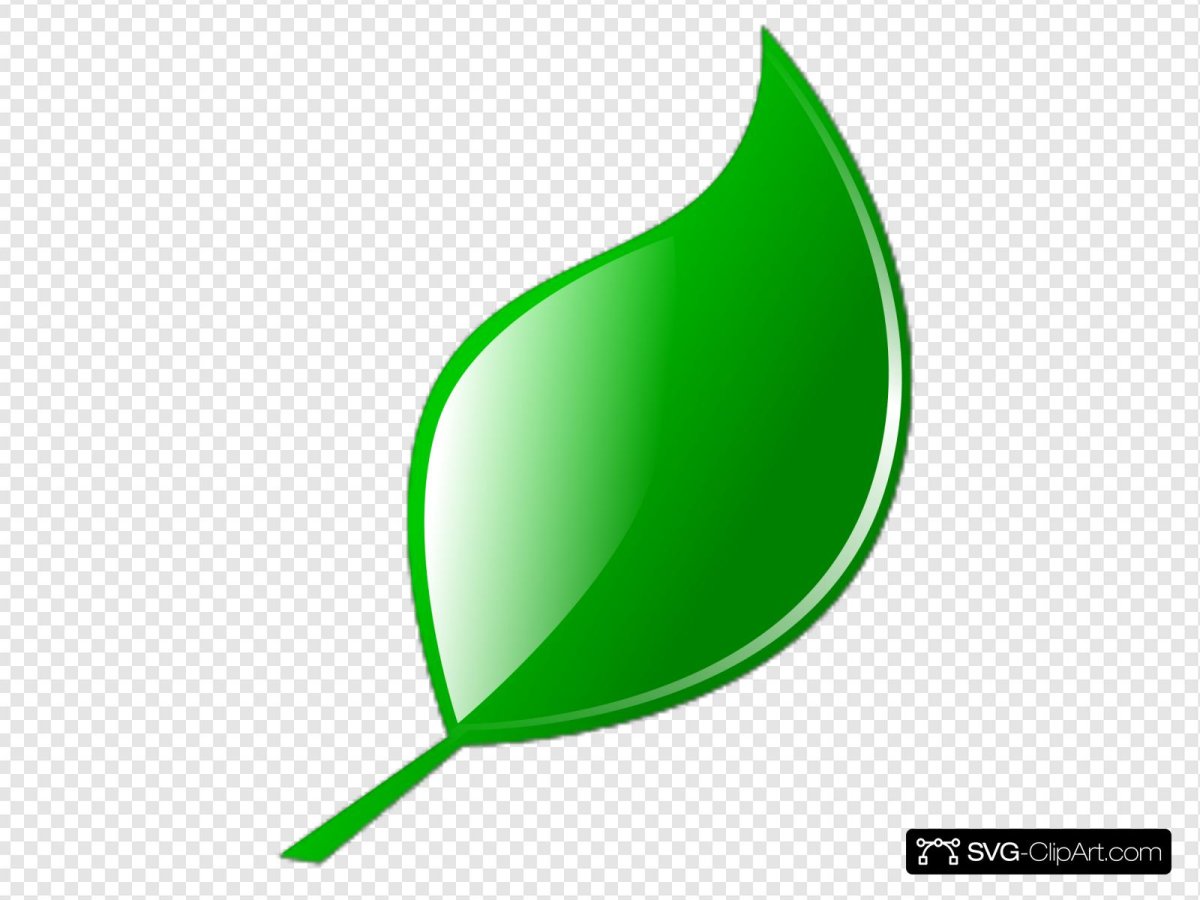 Листья вектор