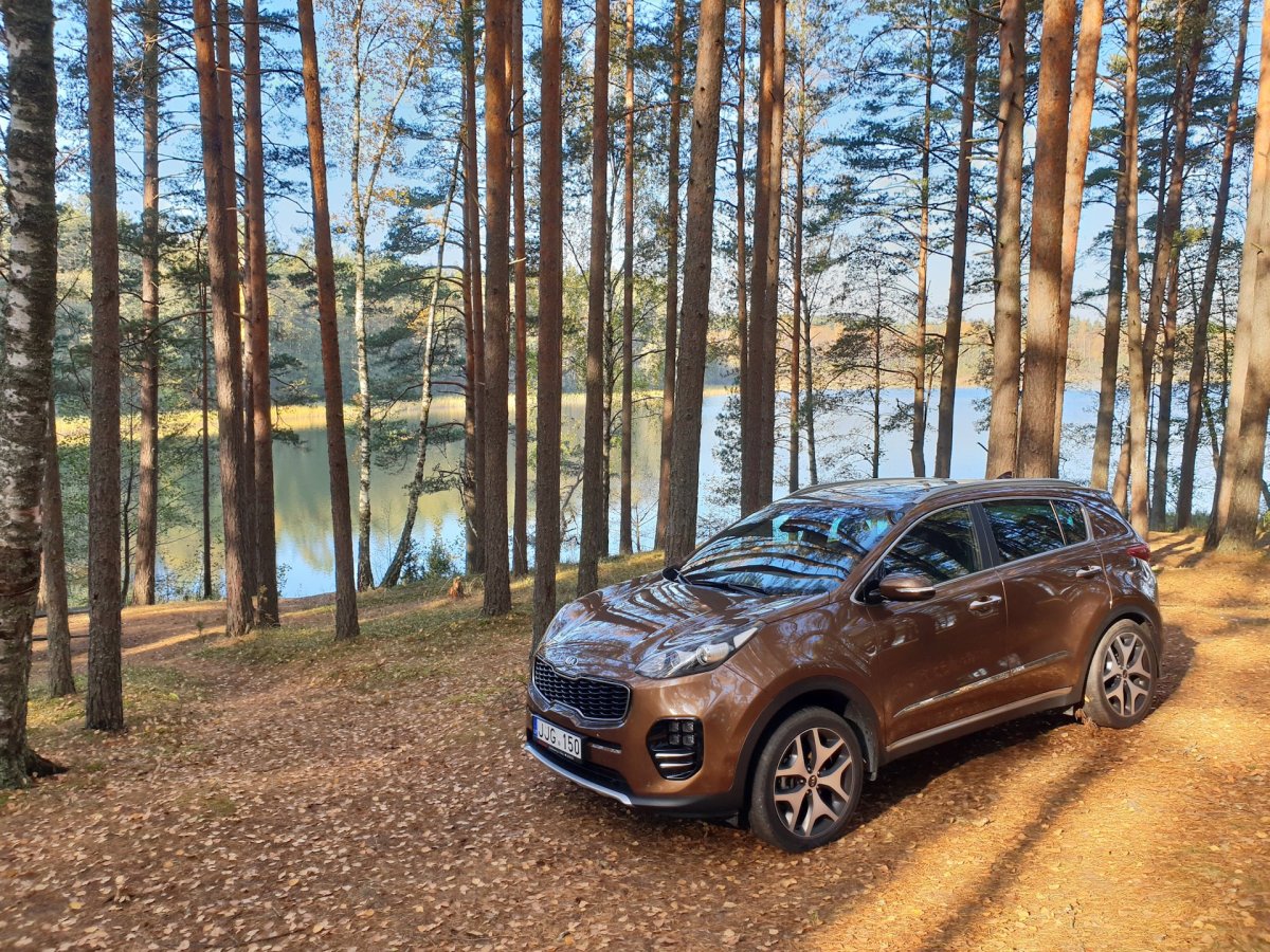 Киа Спортейдж в лесу