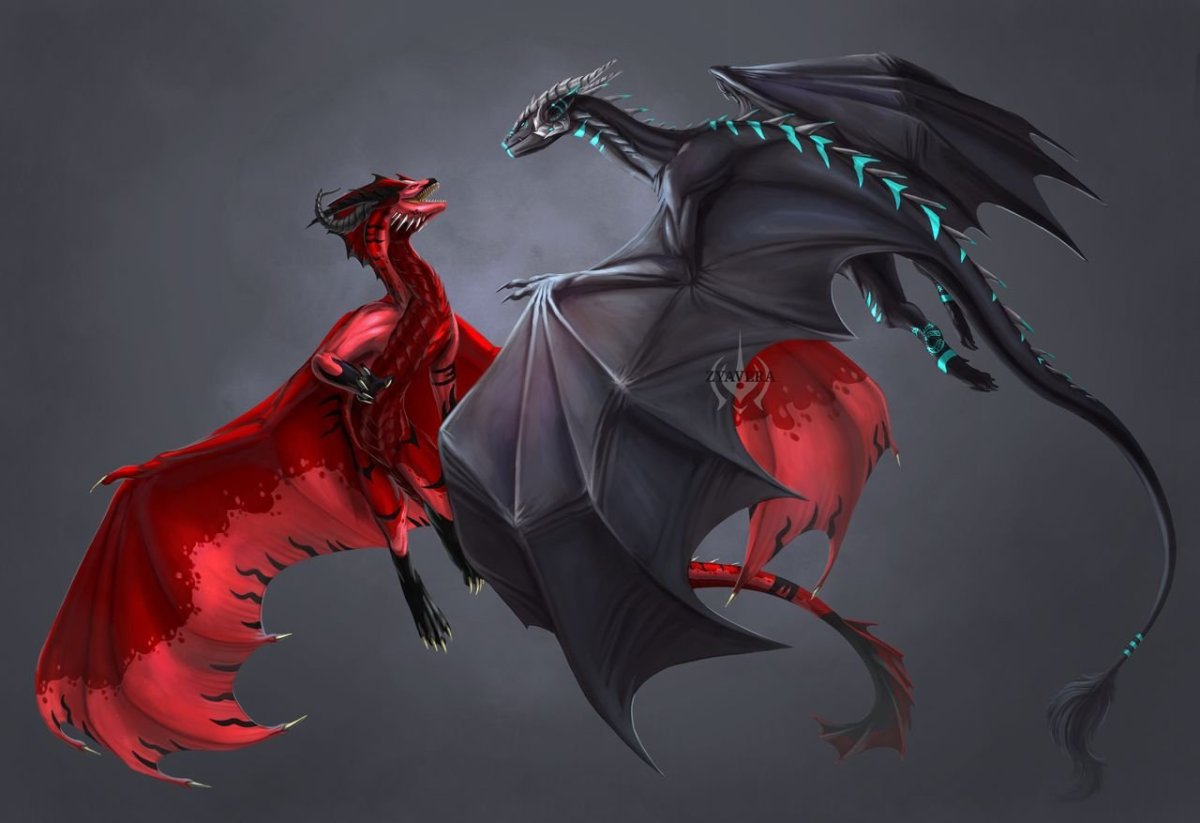 Дракон красно черный