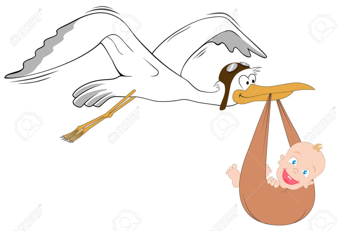 Аист с ребенком в клюве