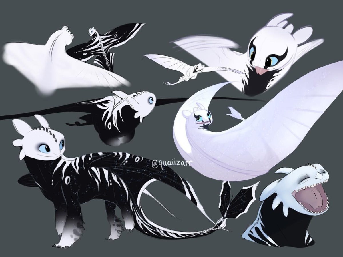 Драконы ОС референс ночной фурии