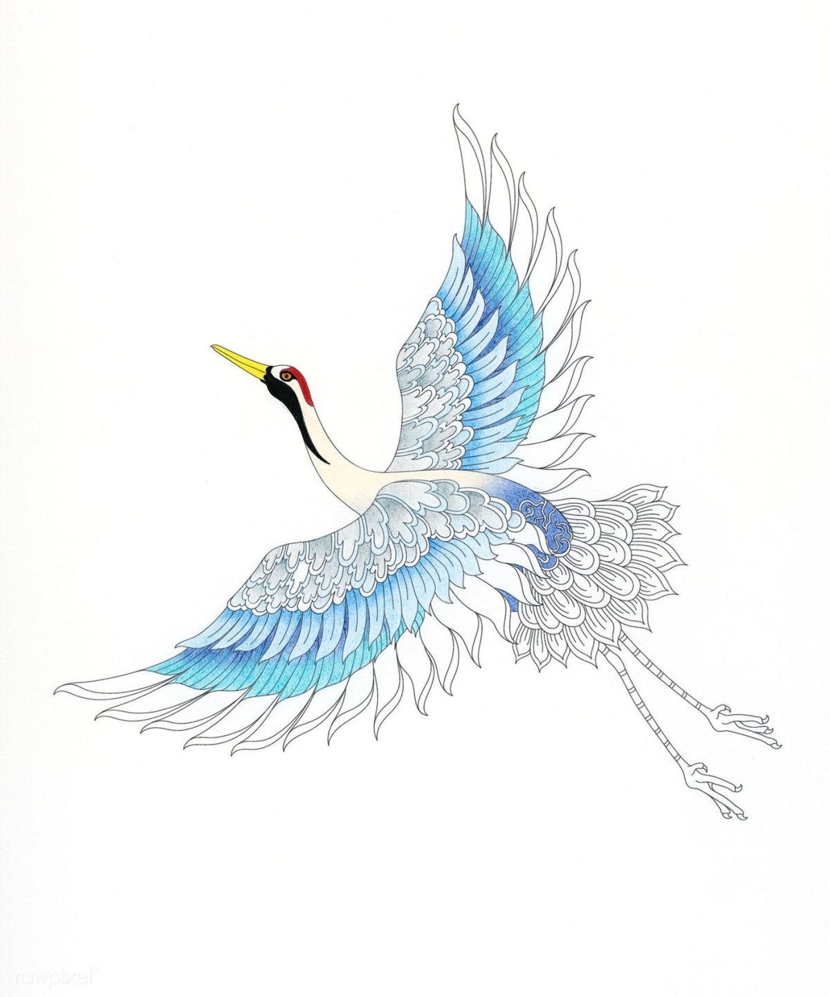 Полет журавлей