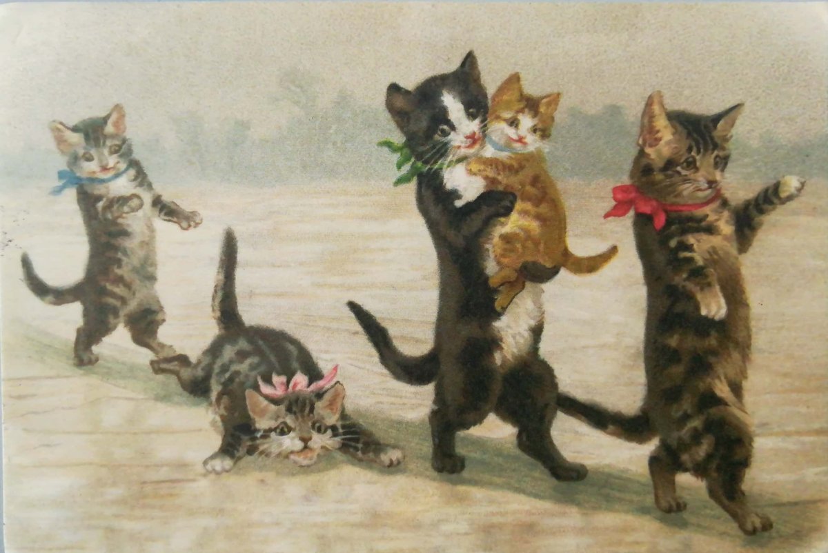 Старинные открытки с котами