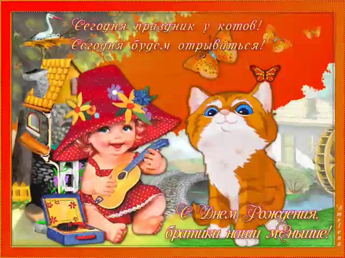 Котик праздник