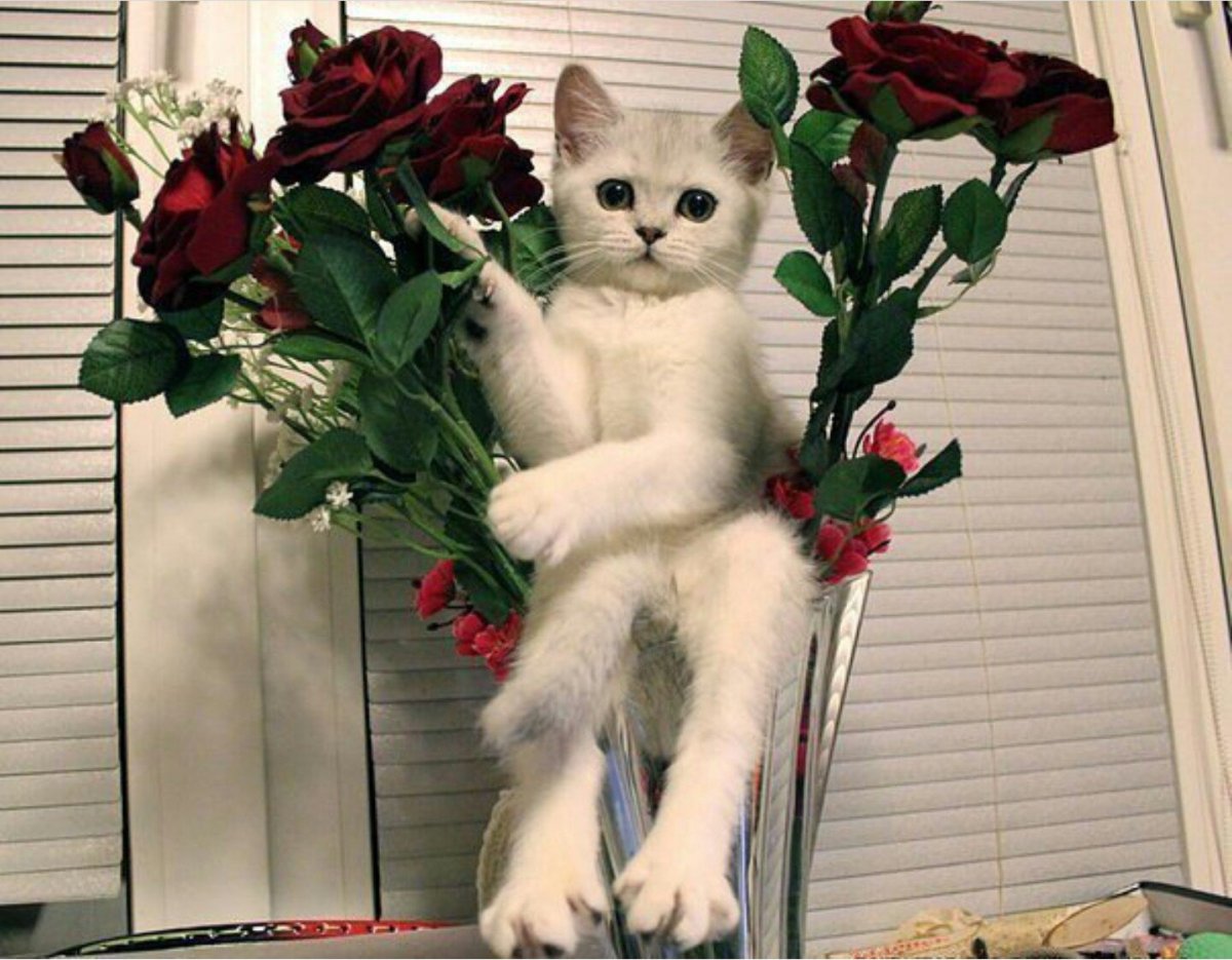 Открытки хорошо погулять