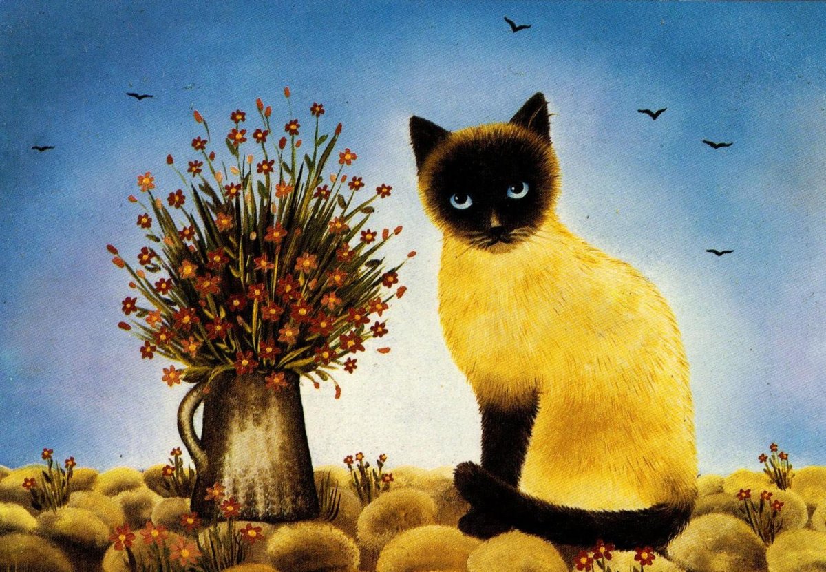 Котик устал