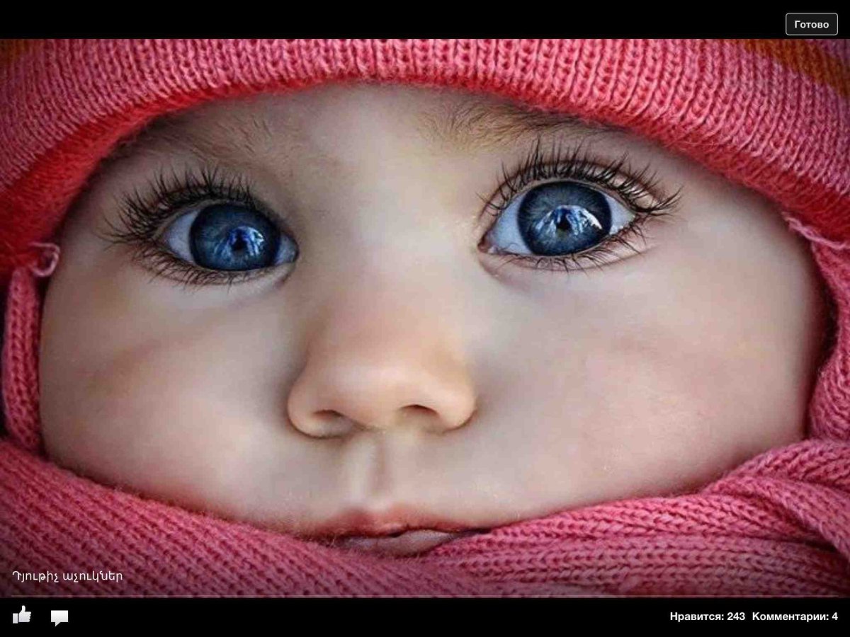 Милые черные ты с голубыми глазами