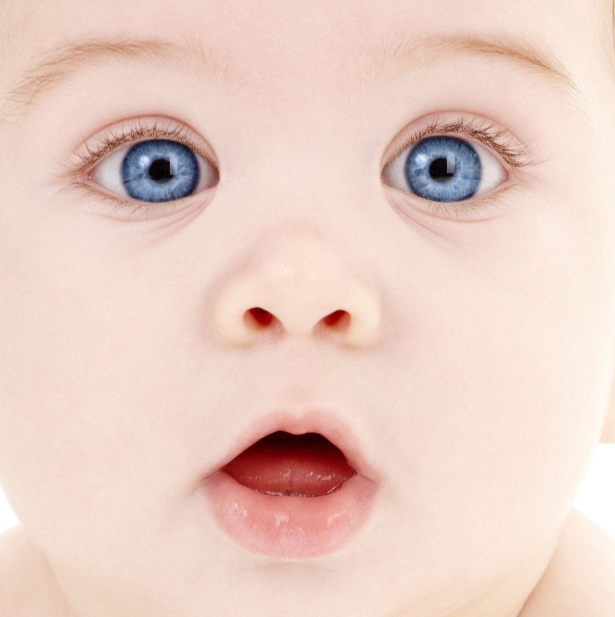 Фаришта Чакалоклар