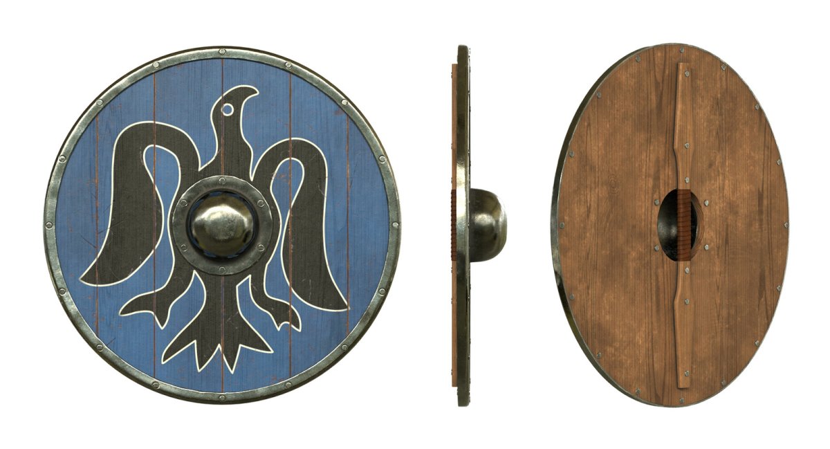 Щит викинга вид сзади