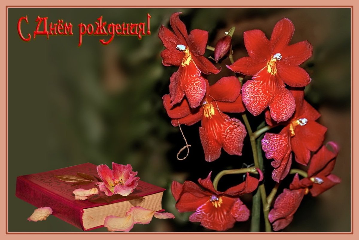 Вера Ивановна с днем рождения