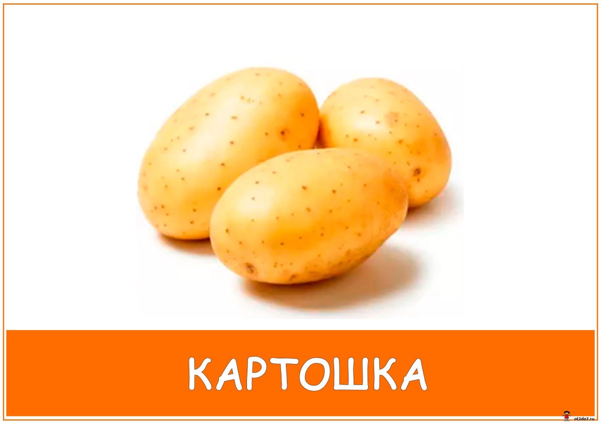 Детские карточки картофель
