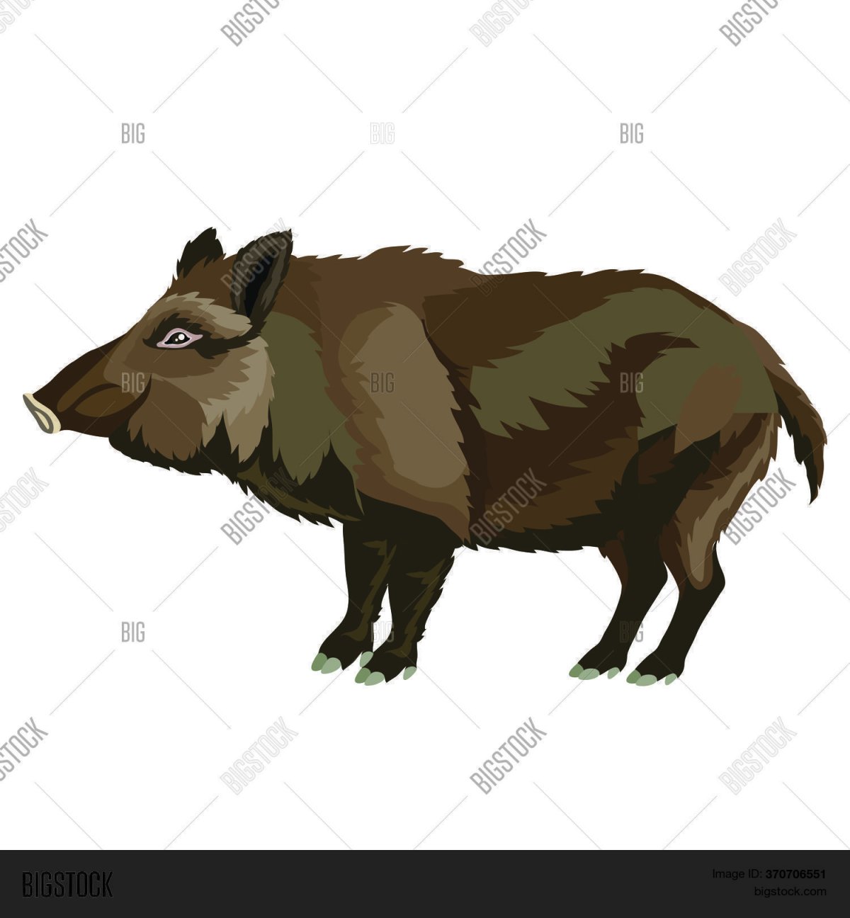 Кабан вектор для детей