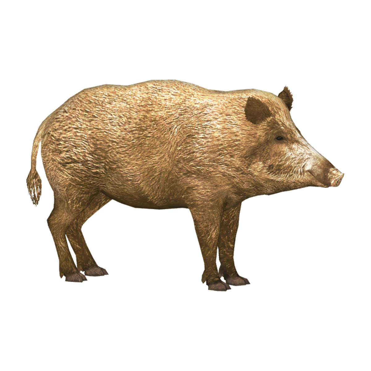 Кабан значок