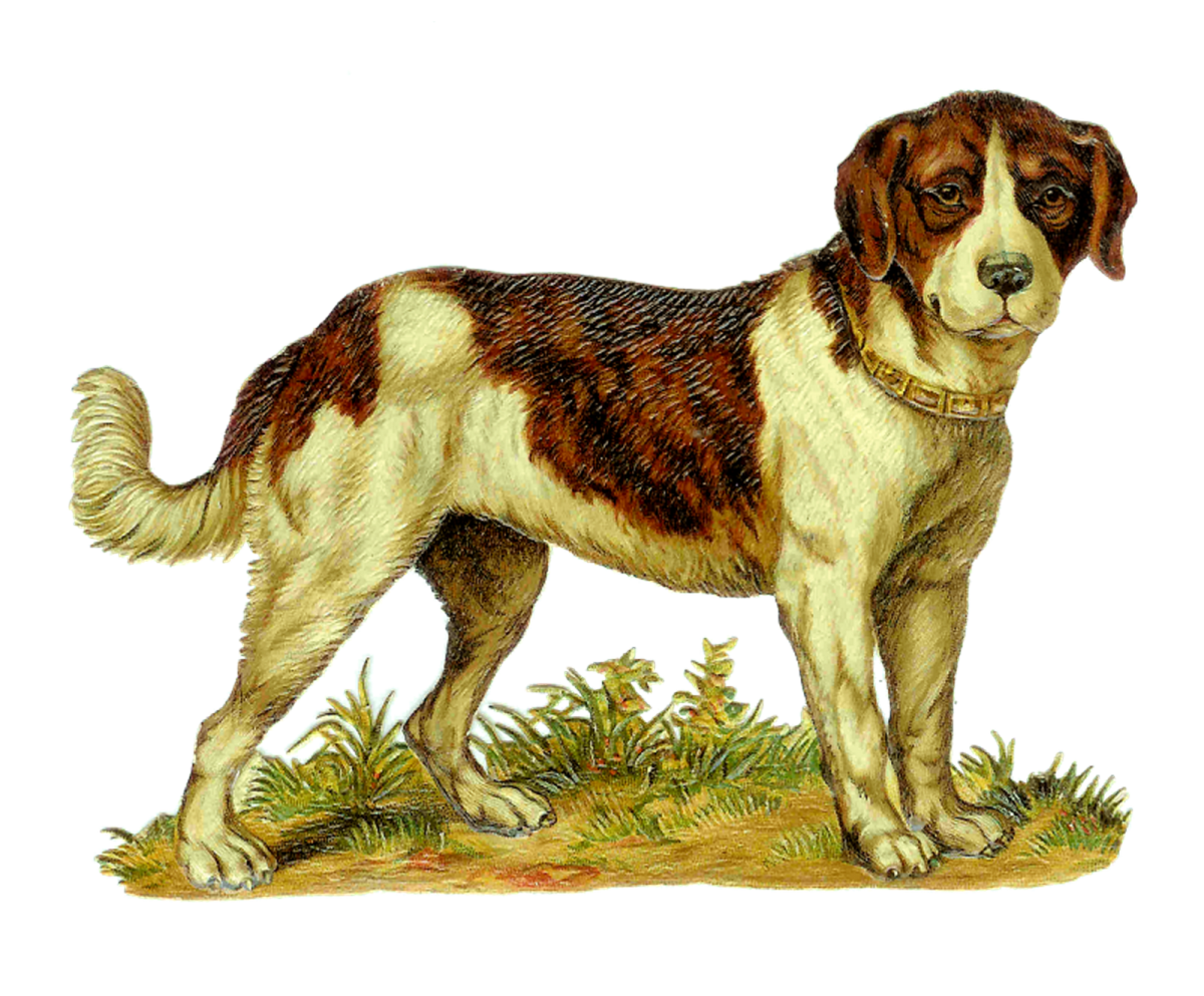 Собака для детей