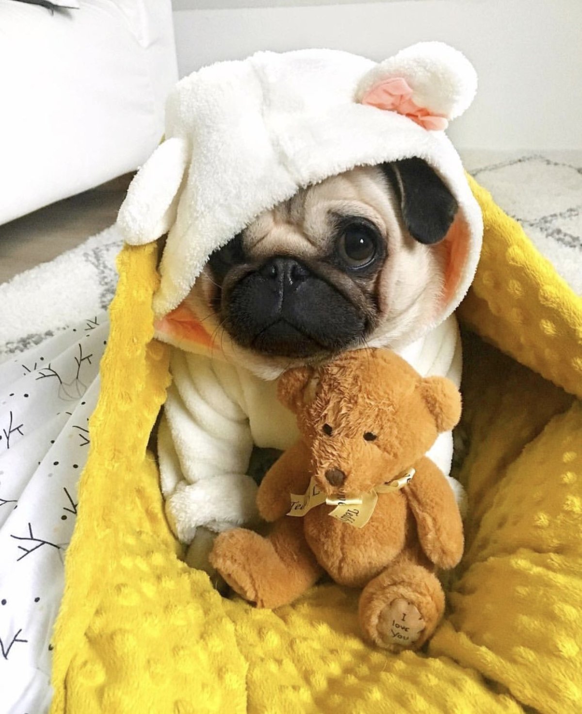 Мопс Пинтерест