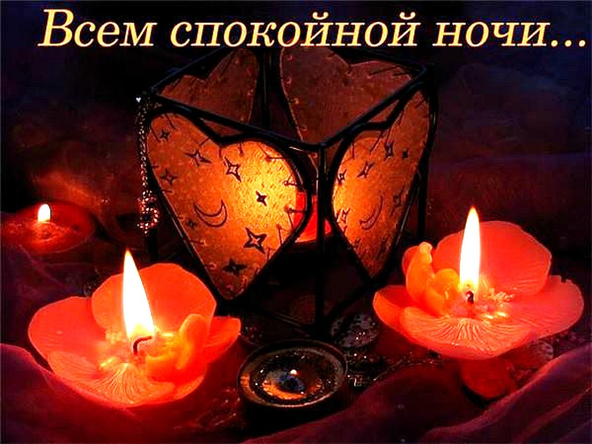 Кролики. Художник Veronica Minozzi