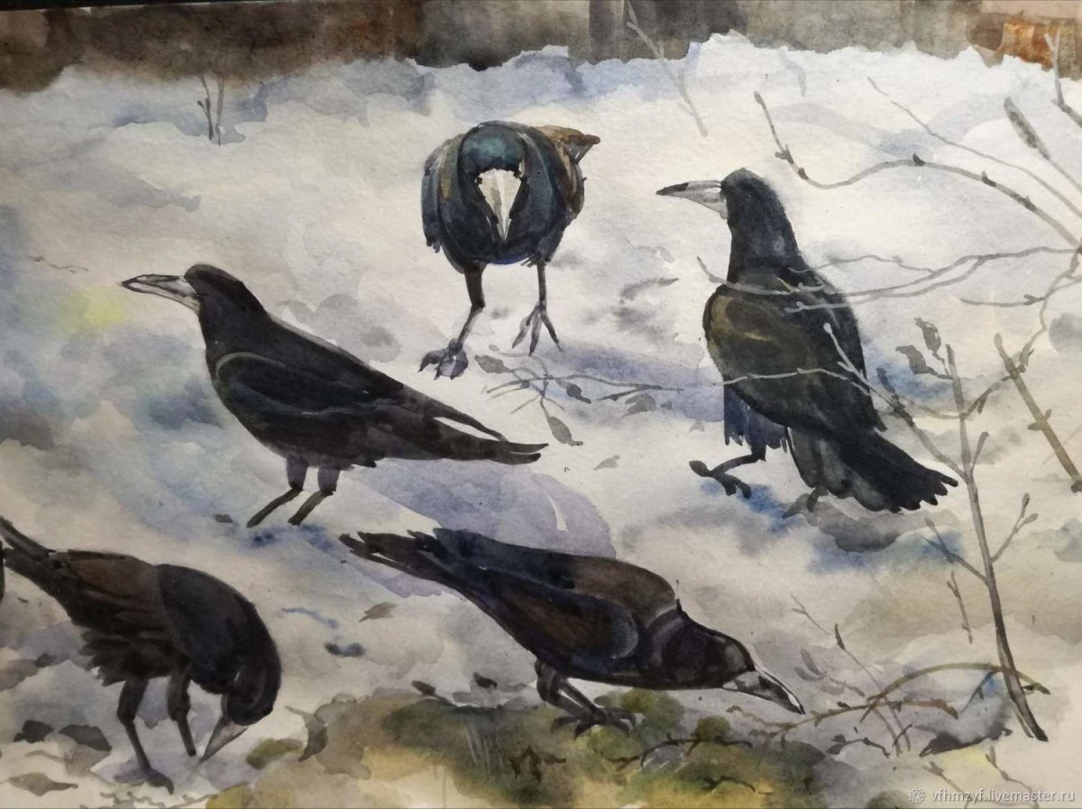 Ворон геральдика