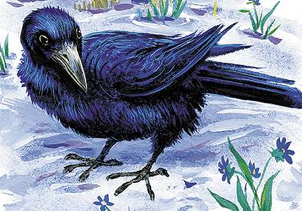 Белоносые птицы Скребицкий