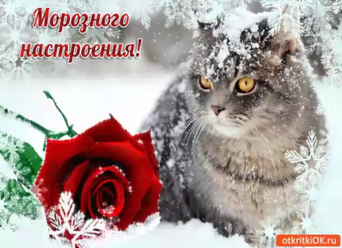 Романтического зимнего настроения