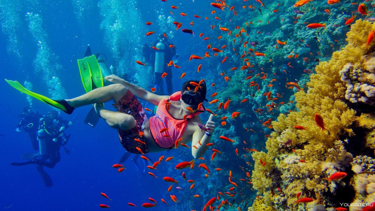 Снорклинг на острове Мнемба Занзибар