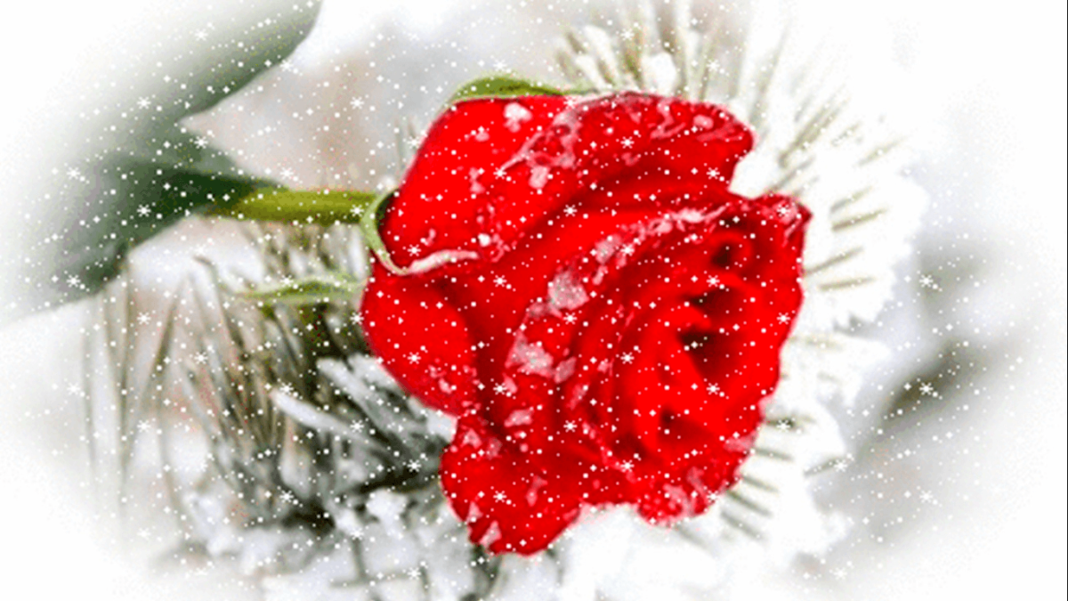 Хорошего зимнего настроения