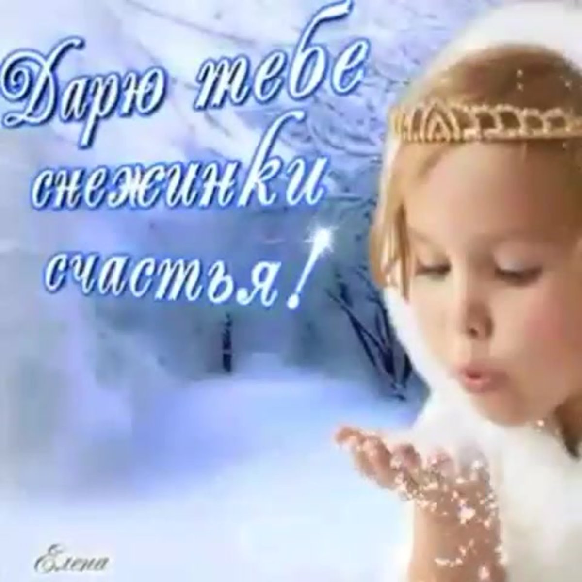 Нежные цветы в снегу