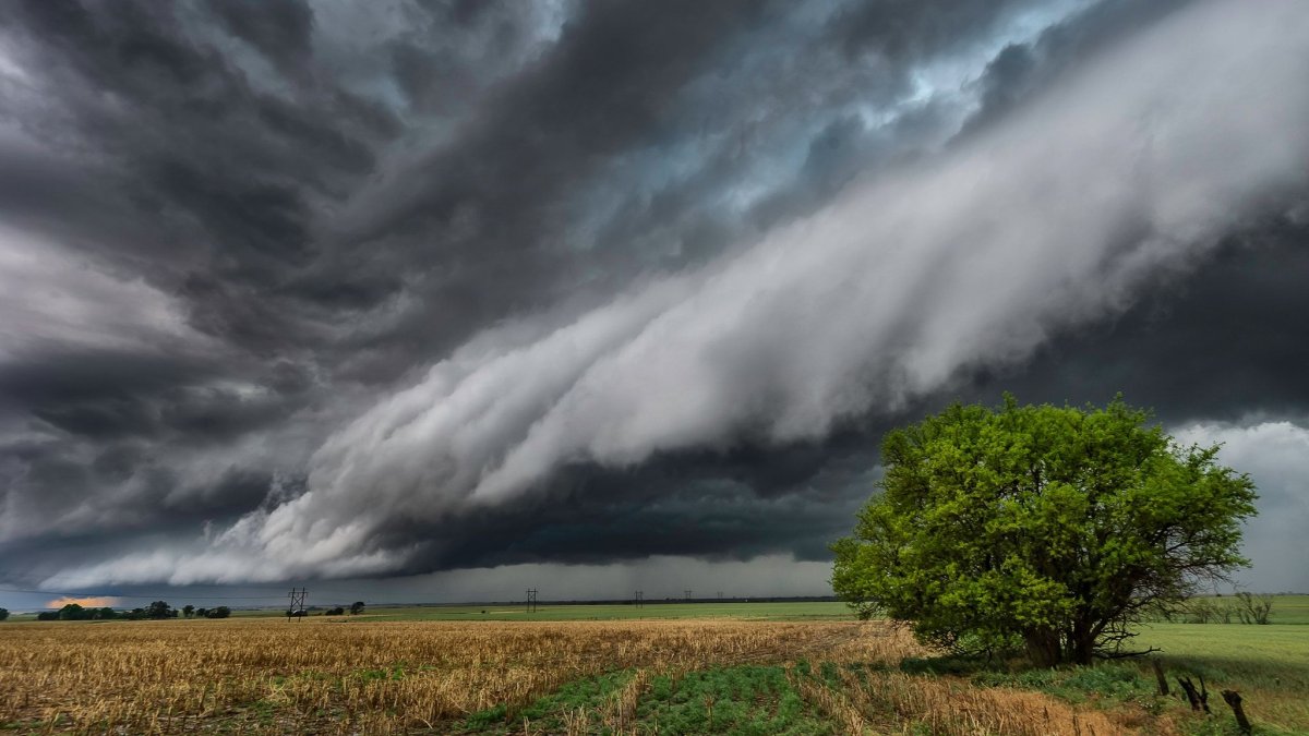 Перед грозой