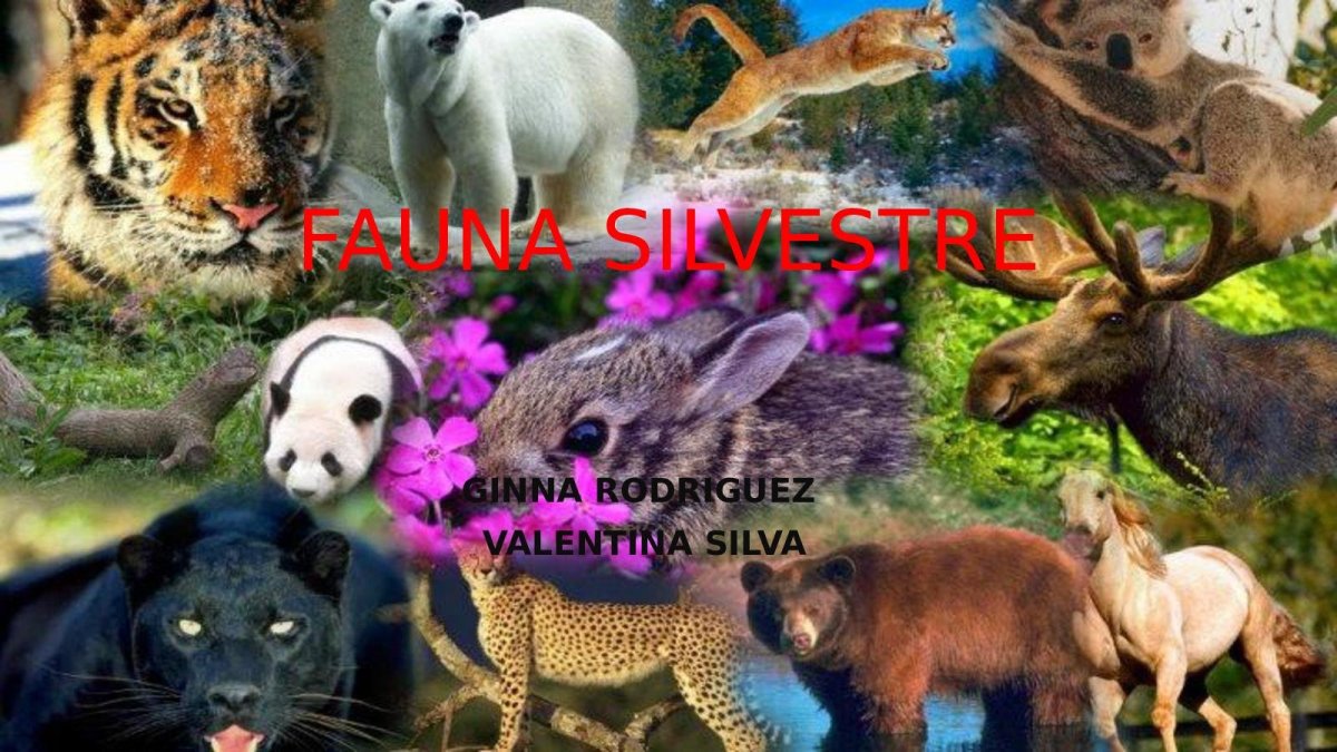 Много животных и растений