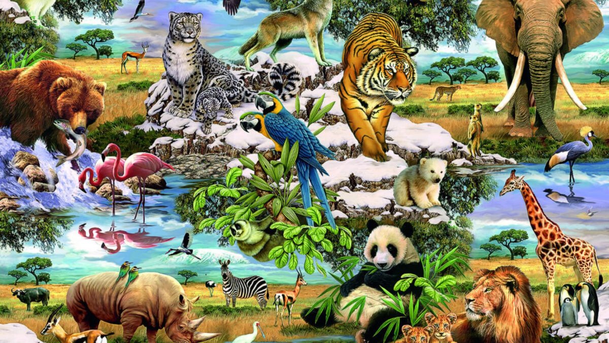 Мир животных