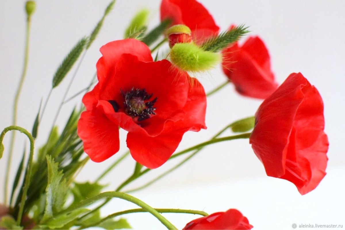 Красивый букет цветов с маками