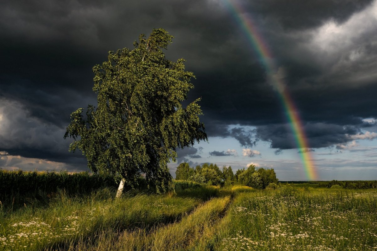 После грозы