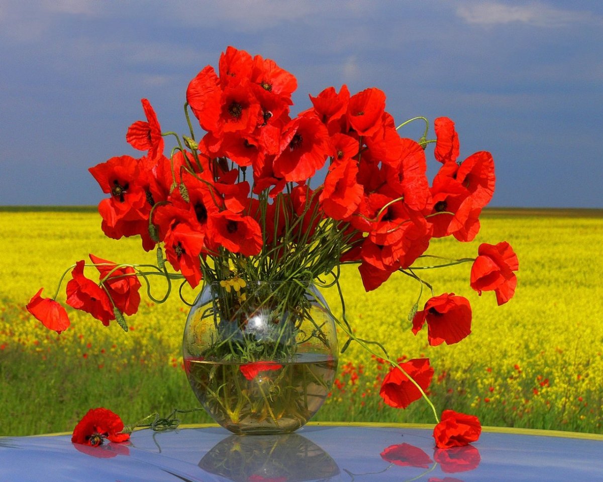 Букет маков