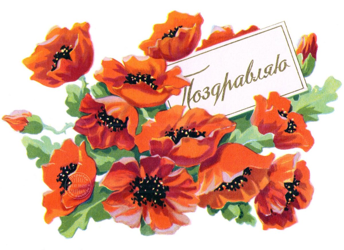 С днём рождения маки