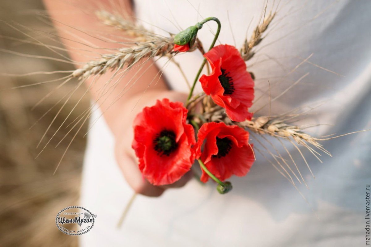 Маки в вазе