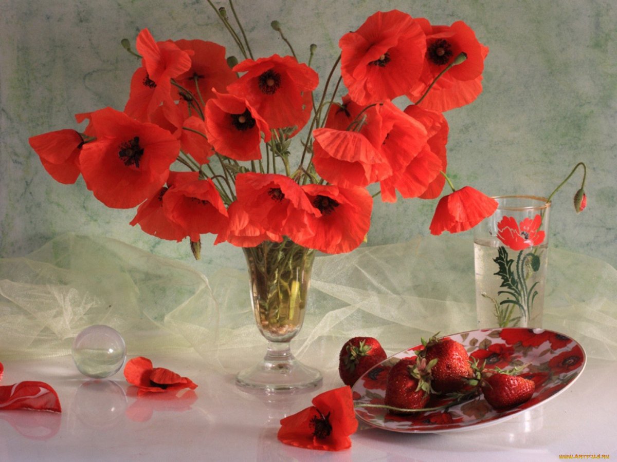 Фотонатюрморты Натальи Панга