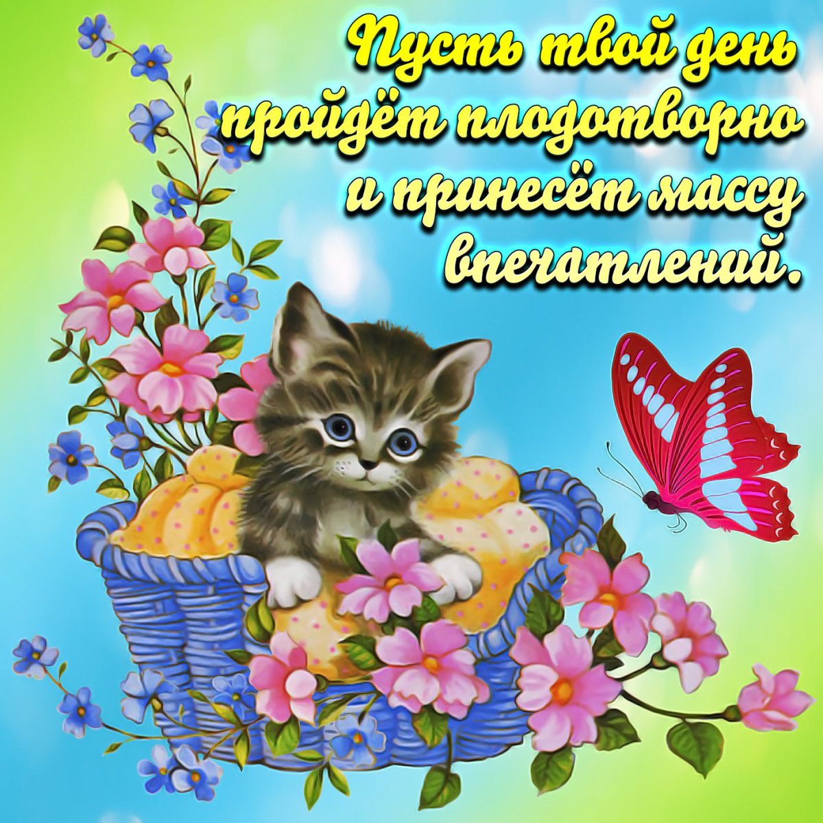 Марианна Локшина букеты