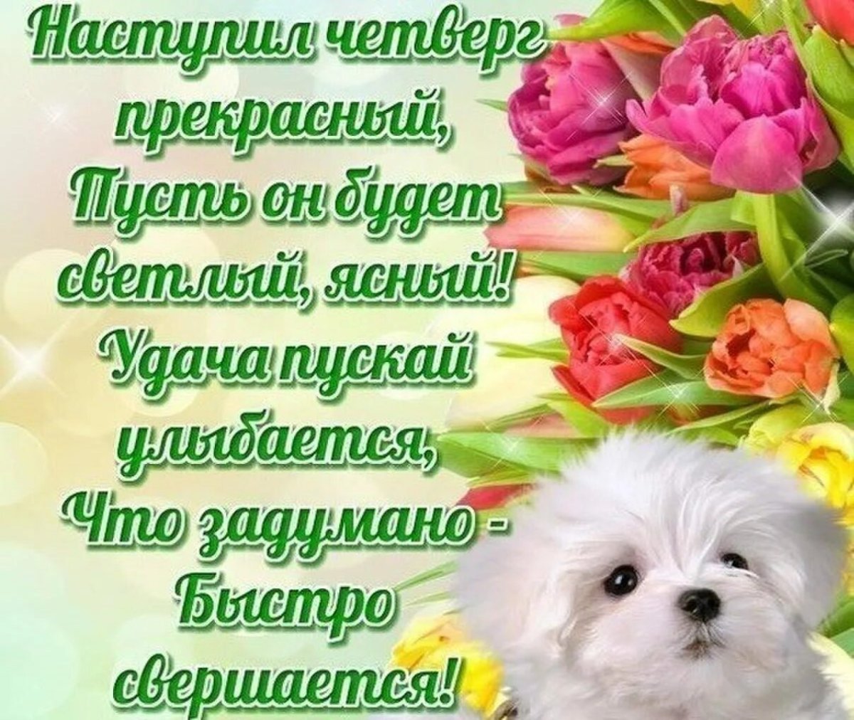 Открытки отличного четверга