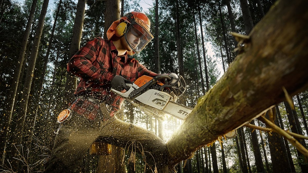 Пауэр Chainsaw man