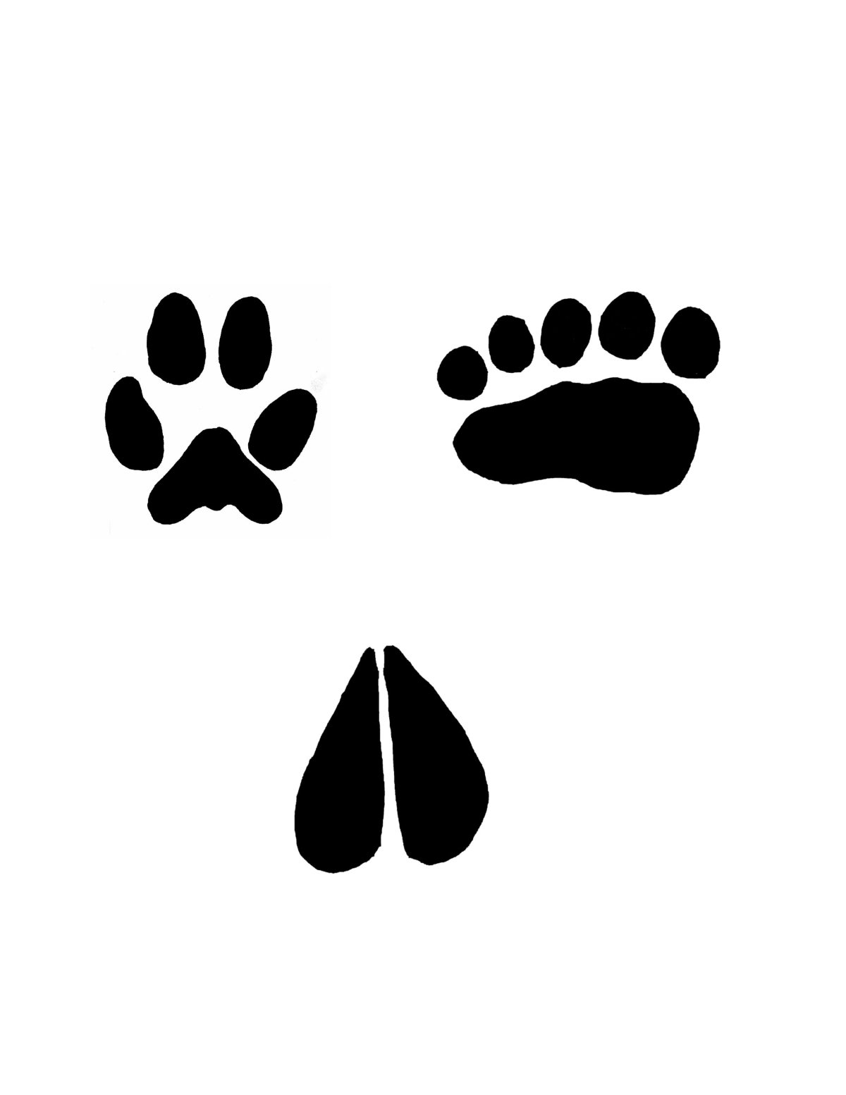 Отпечатки следов животных