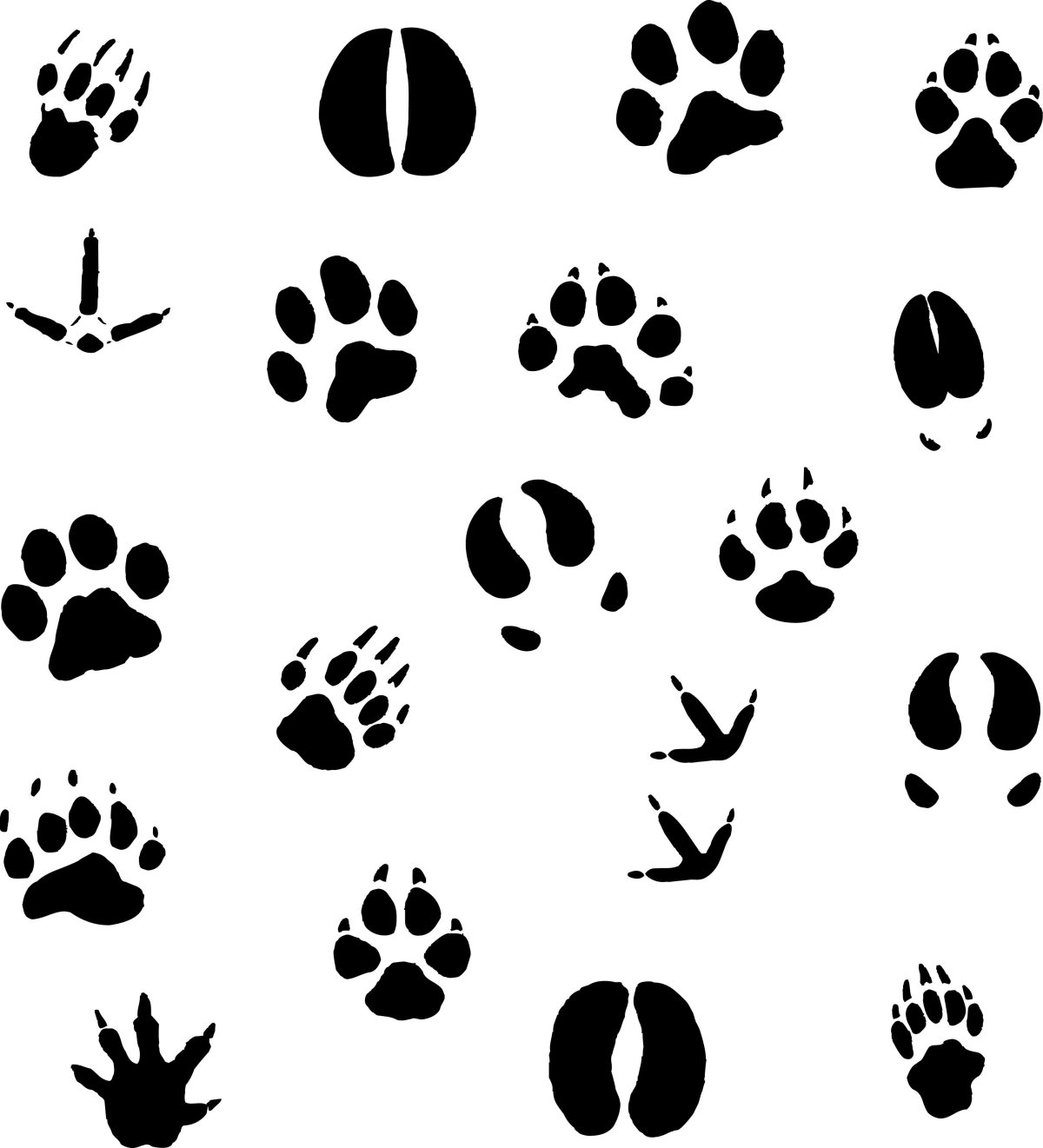 Следы животных тигр