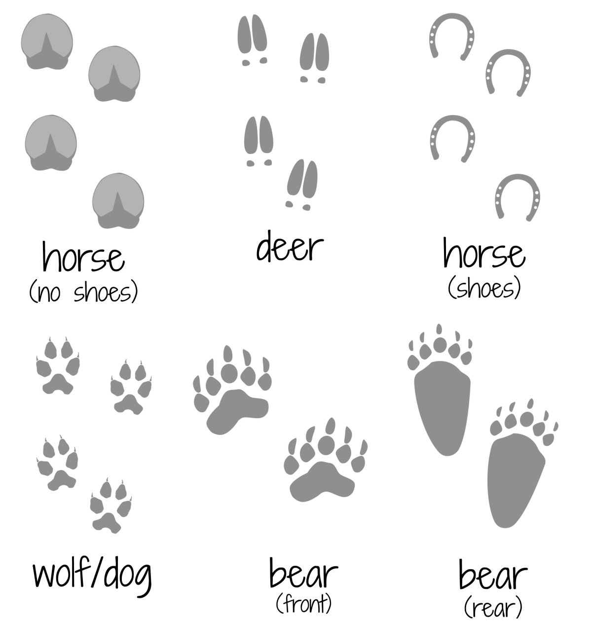 Рисунки следов животных и людей