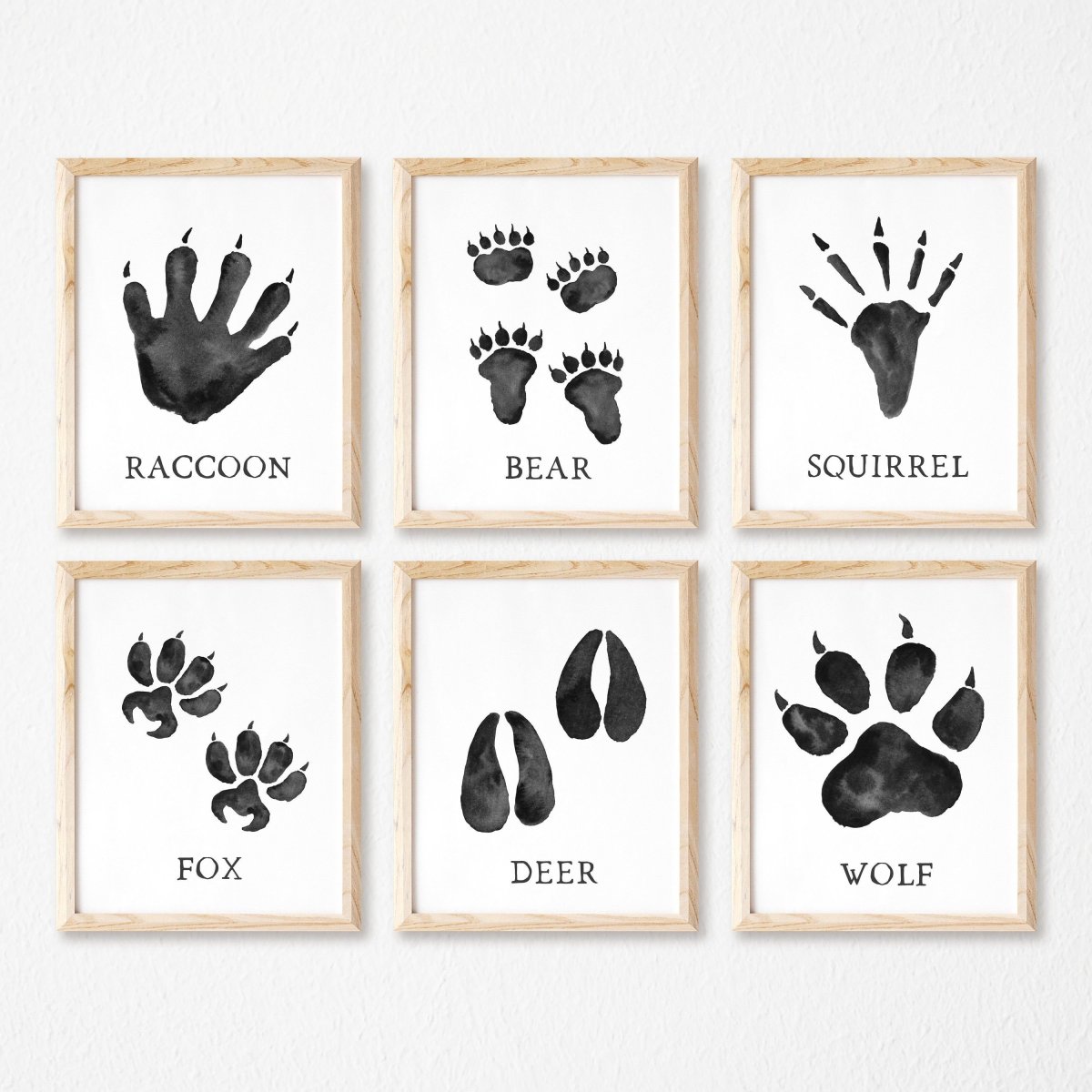 Следы животных картинки