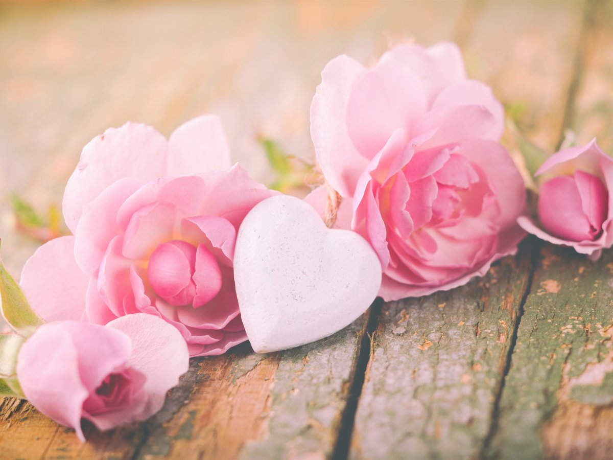 Розовые цветы