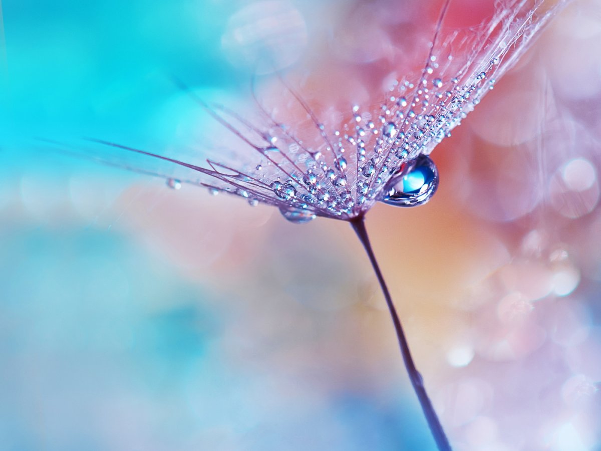 Легкость и нежность