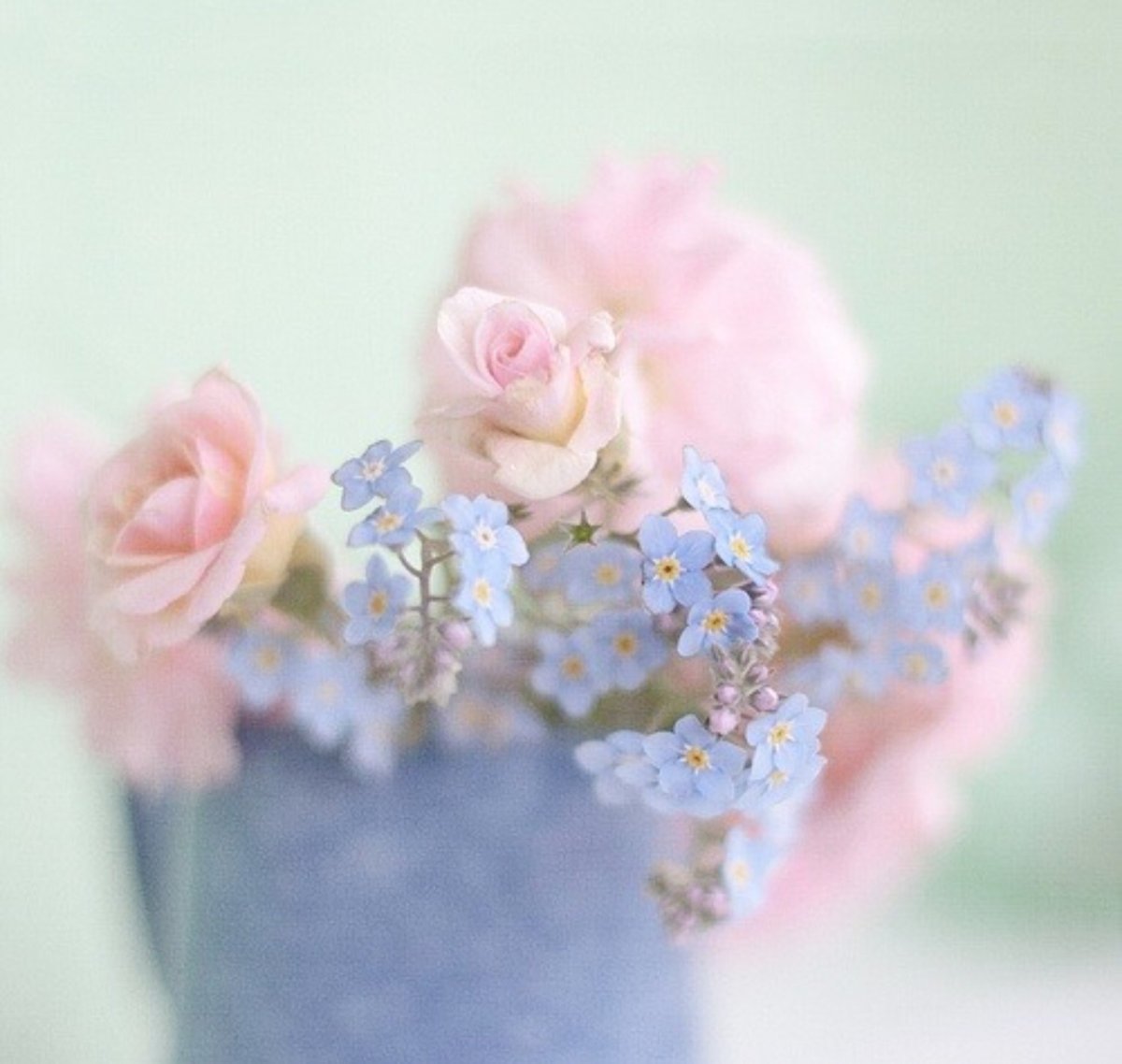 Нежный цветок