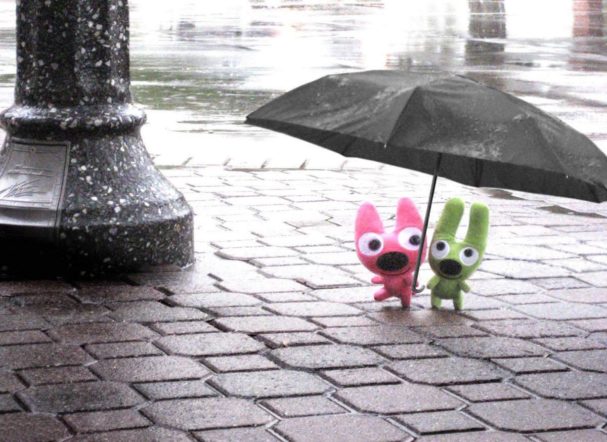 Дождь настроению не помеха