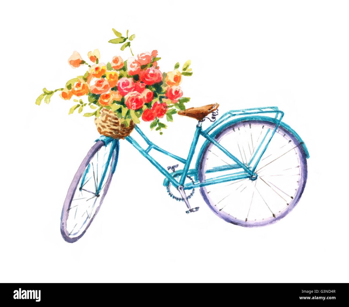 Велосипед с цветами на белом фоне